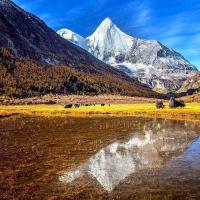 Daocheng