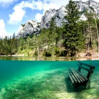 Gruner see