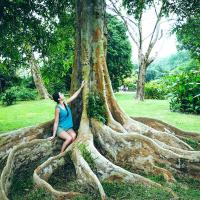 Jardin de pamplemousses3