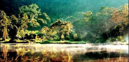 Parc national de gunung leuser