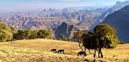 Plateaux su simien 1