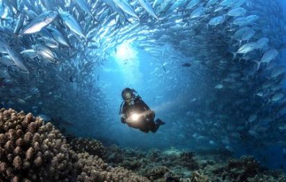 Sipadan 1