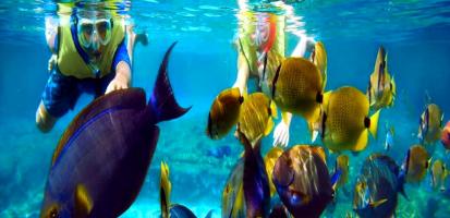 Snorkeling
